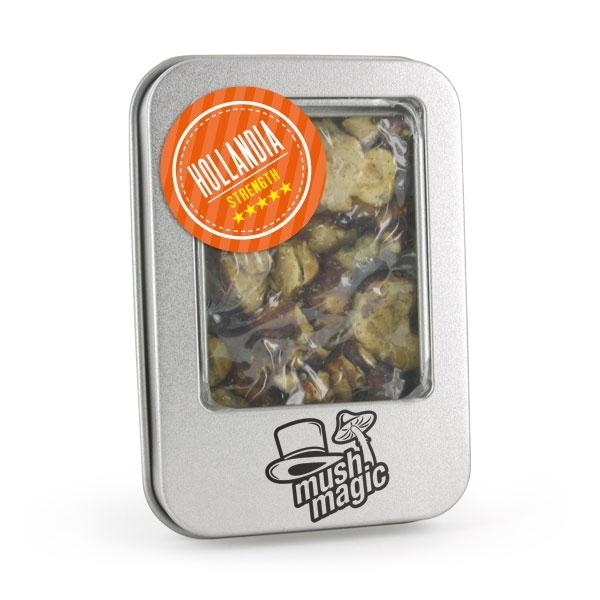 Hollandia - Mush Magic Truffle