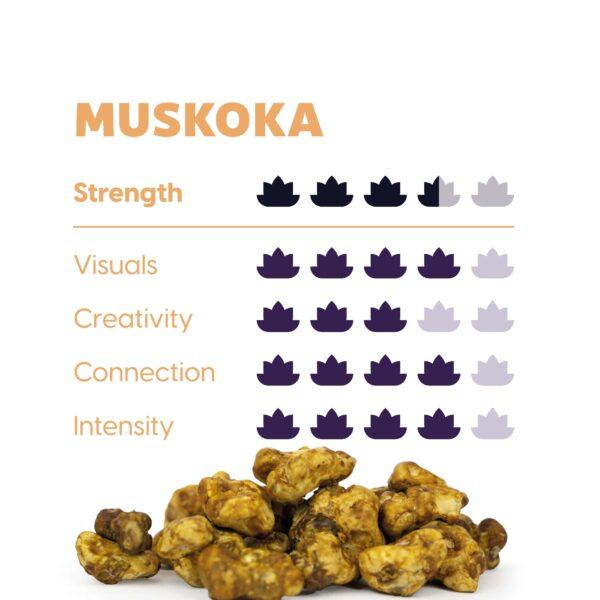 Muskoka - Maka Truffles