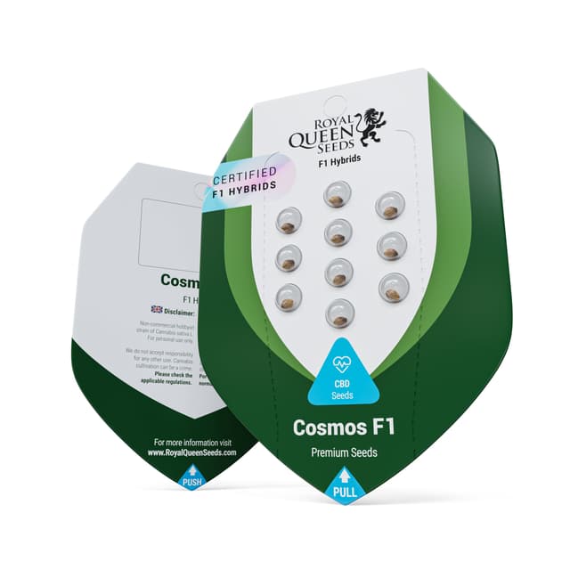 Cosmos F1 (RQS)