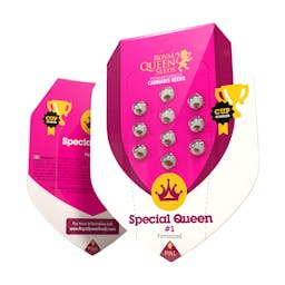 Special Queen 1 (RQS)