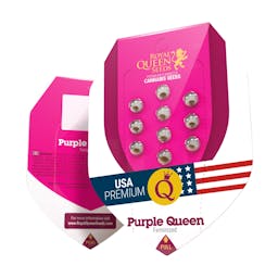 Purple Queen (RQS)