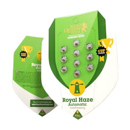 Royal Haze Auto (RQS)