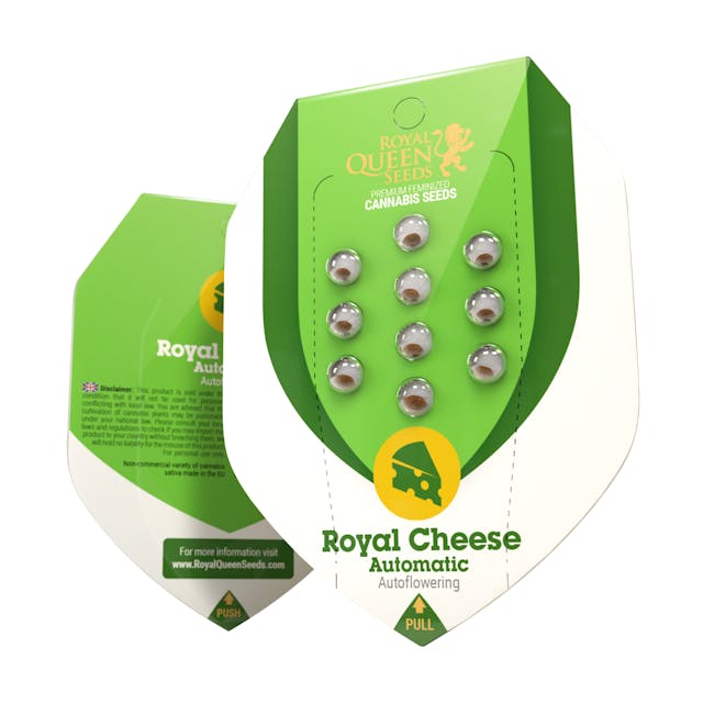 Royal Cheese Auto (RQS)