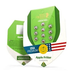 Apple Fritter Auto (RQS)