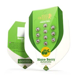 Haze Berry Auto (RQS)