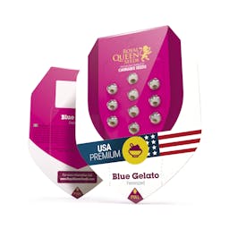 Blue Gelato (RQS)