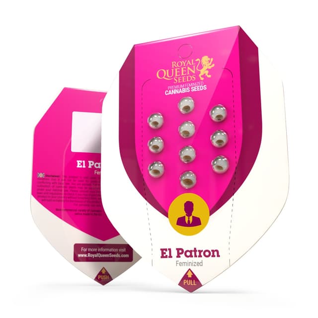 El Patron (RQS)