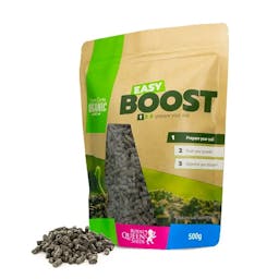 Easy Boost Organic Nutrition (500 g)