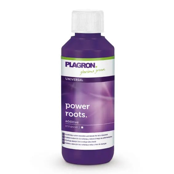Power Roots (100ml)