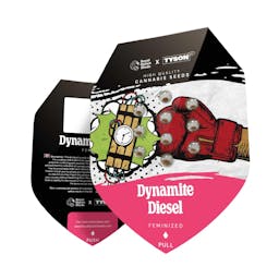Dynamite Diesel Feminized (Tyson x RQS)