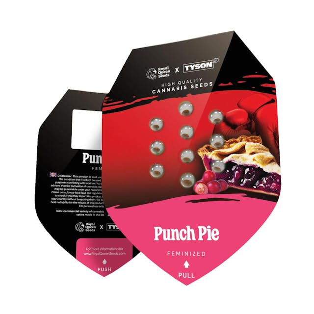 Punch Pie Feminized (Tyson x RQS)