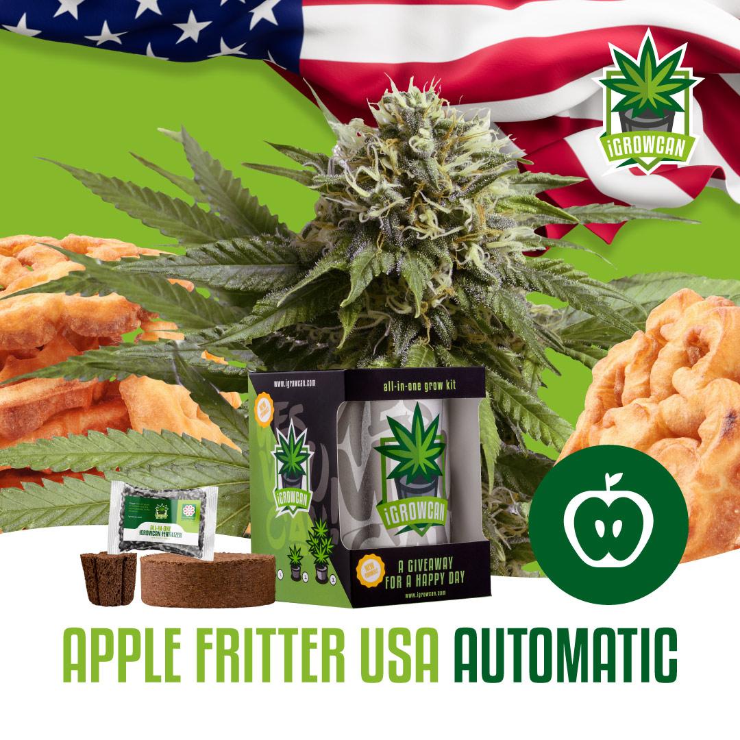 Apple Fritter Auto (IGC)