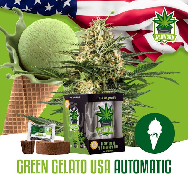 Green Gelato USA Auto (IGC)