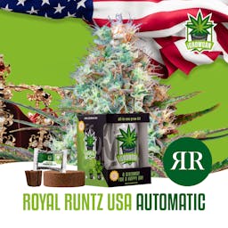 Royal Runtz USA Auto (IGC)