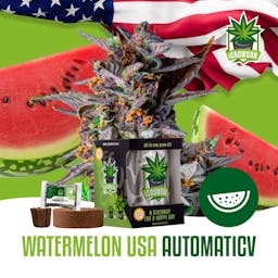Watermelon USA Auto (IGC)