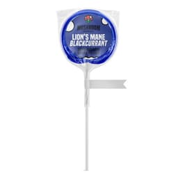 Lion's Mane Mushroom Lollipop - Blackcurrant