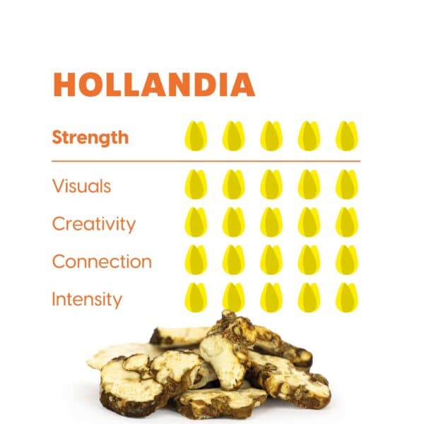 Hollandia - Maka Truffles