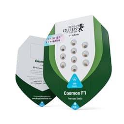Cosmos F1 (RQS)