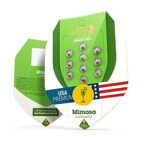 Mimosa Auto (RQS)