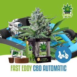 Fast Eddy - CBD Auto (IGC)