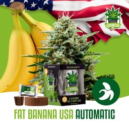Fat Banana USA Auto (IGC)