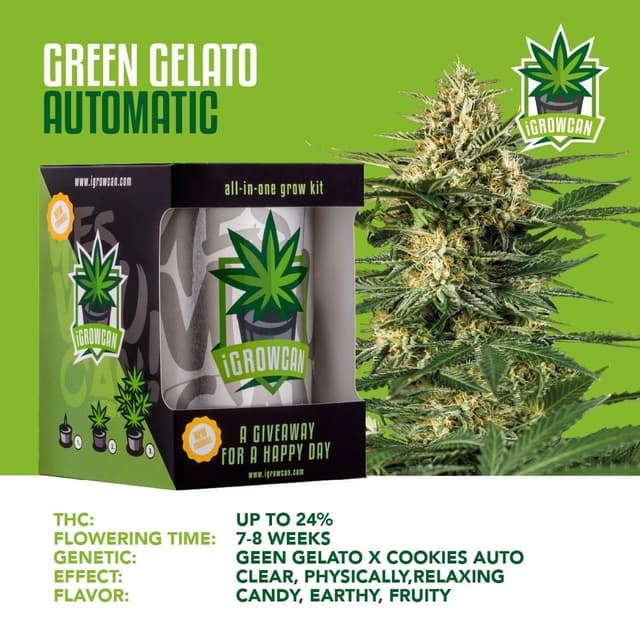 Green Gelato USA Auto (IGC)