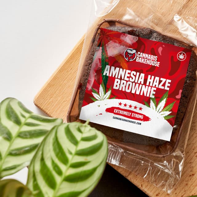 Amnesia Haze Cannabis Brownie