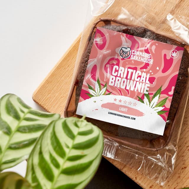 Critical Cannabis Brownie