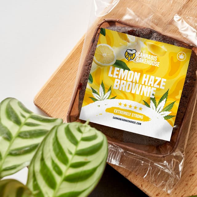 Lemon Haze Cannabis Brownie