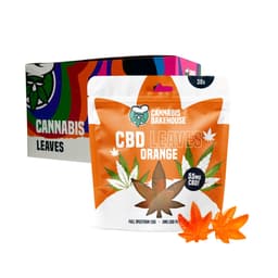 CBD Leaves | Gummies - Orange (Display 10x)
