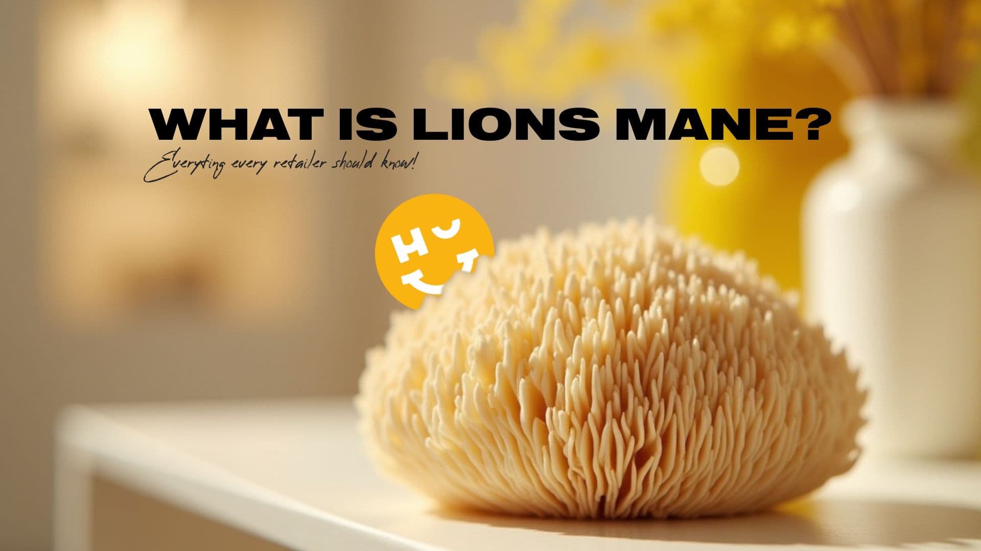 Cos'è Lion's Mane e perché dovrebbe far parte della tua gamma di prodotti
