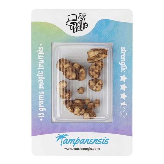 Tampanensis - Mush Magic Truffle